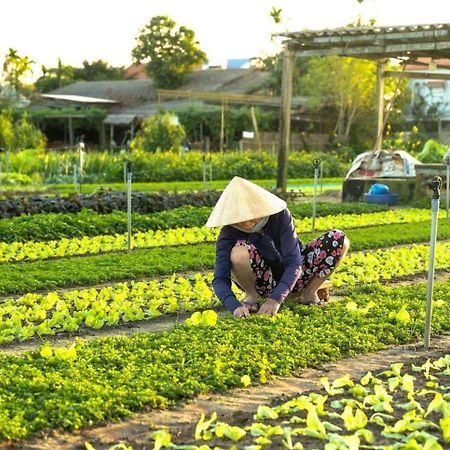 Appartement Hoi An Cabbage Garden Extérieur photo