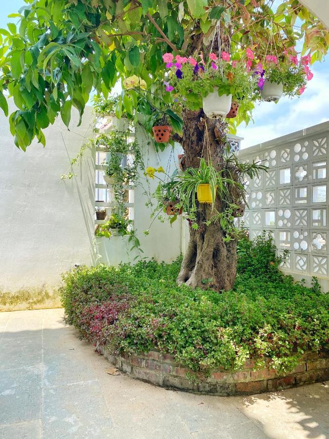 Appartement Hoi An Cabbage Garden Extérieur photo